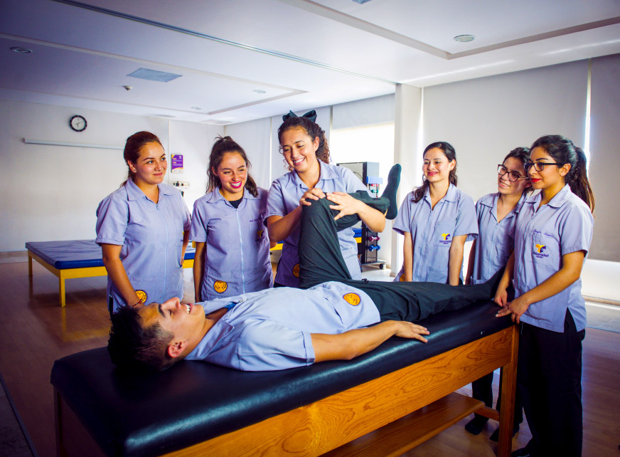 Licenciatura en Terapia Física
